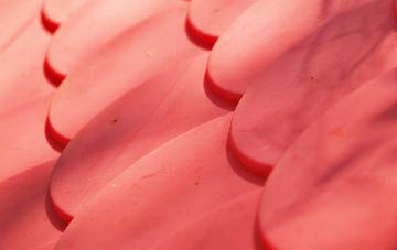 Week plastic roof costs